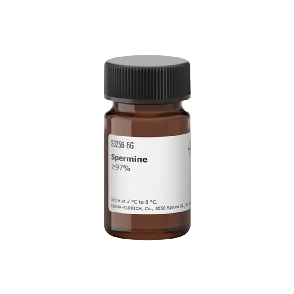Spermine (اسپرمین) یک پلیآمین طبیعی است که در تمام سلولهای یوکاریوتی یافت میشود و نقش مهمی در فرآیندهای زیستی مختلف ایفا میکند.