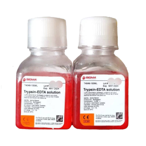 دو بطری شیشه‌ای شفاف 100 میلی‌لیتری حاوی محلول قرمز تریپسین-EDTA (Trypsin-EDTA solution) با برچسب سیگما (SIGMA) و تاریخ انقضای می 2024 (Exp May 2024) با درپوش‌های سفید
