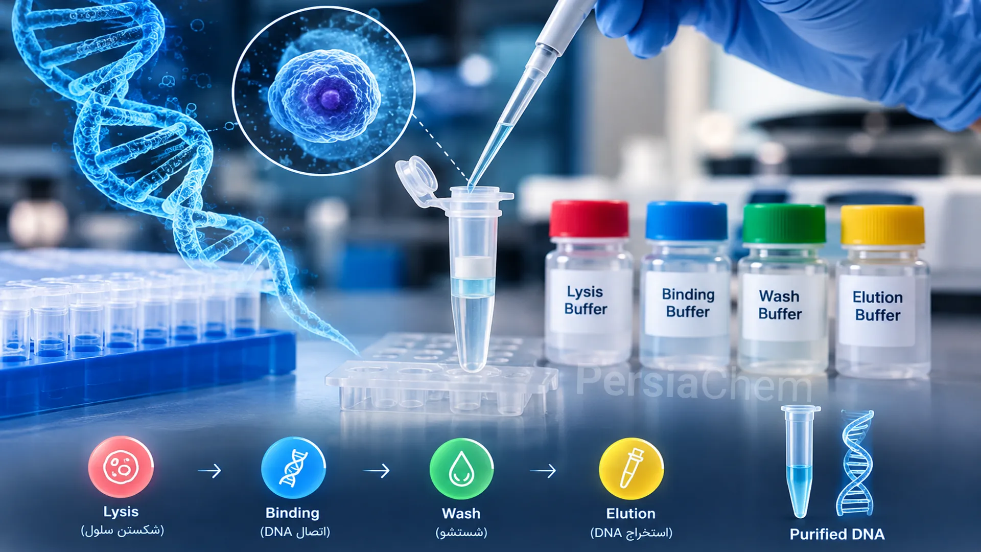 مراحل استخراج DNA